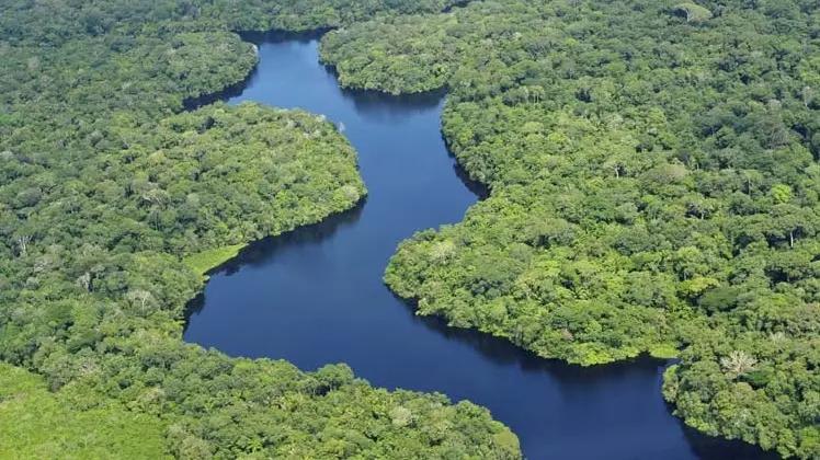 amazonia brasil.jpg