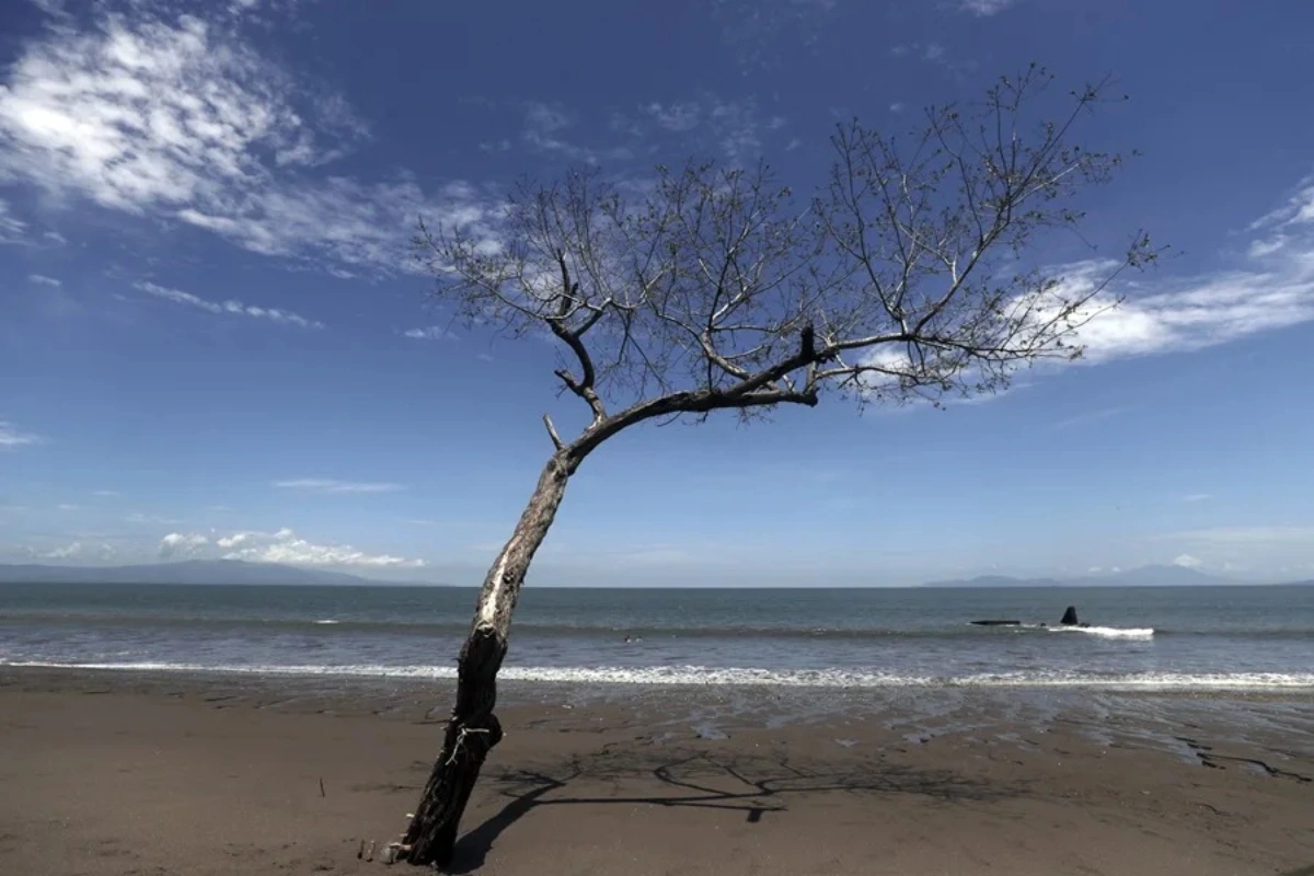 expertos piden cambio climatico se aborde como emergencia mundial.jpg