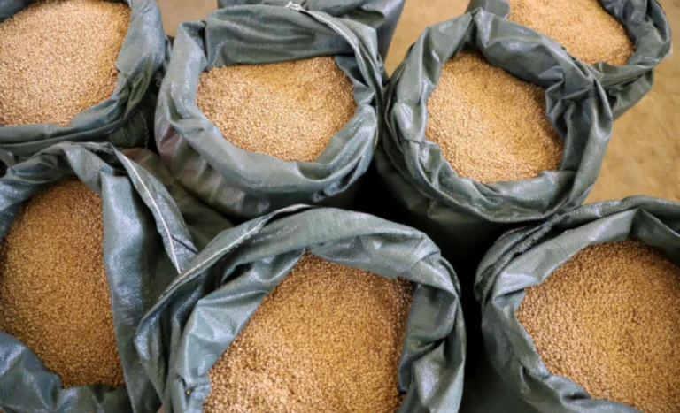 fao cereales01