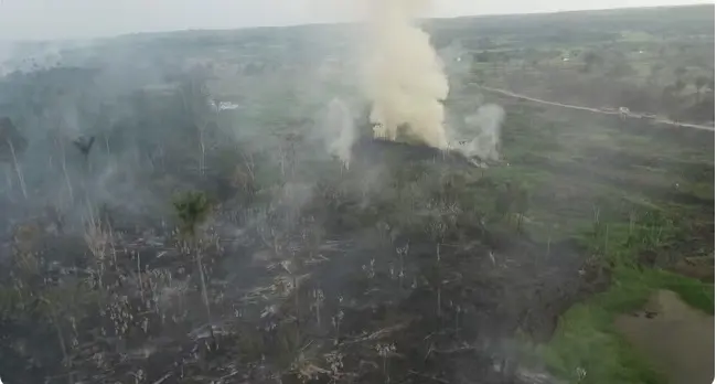 incendio amazonia 2.jpg