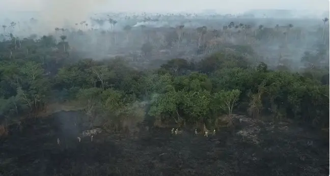 Incendios en Amazonía brasileña suben 74,2% en septiembre por el Superniño 2 incendio amazonia.jpg