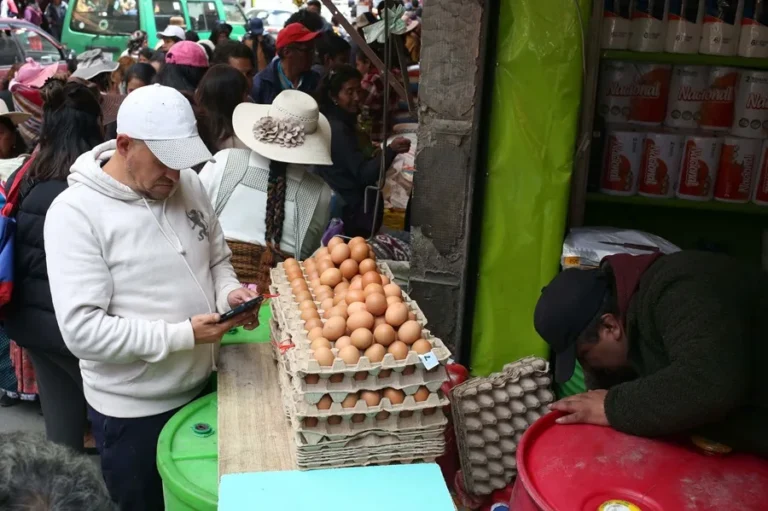 mercado bolivia