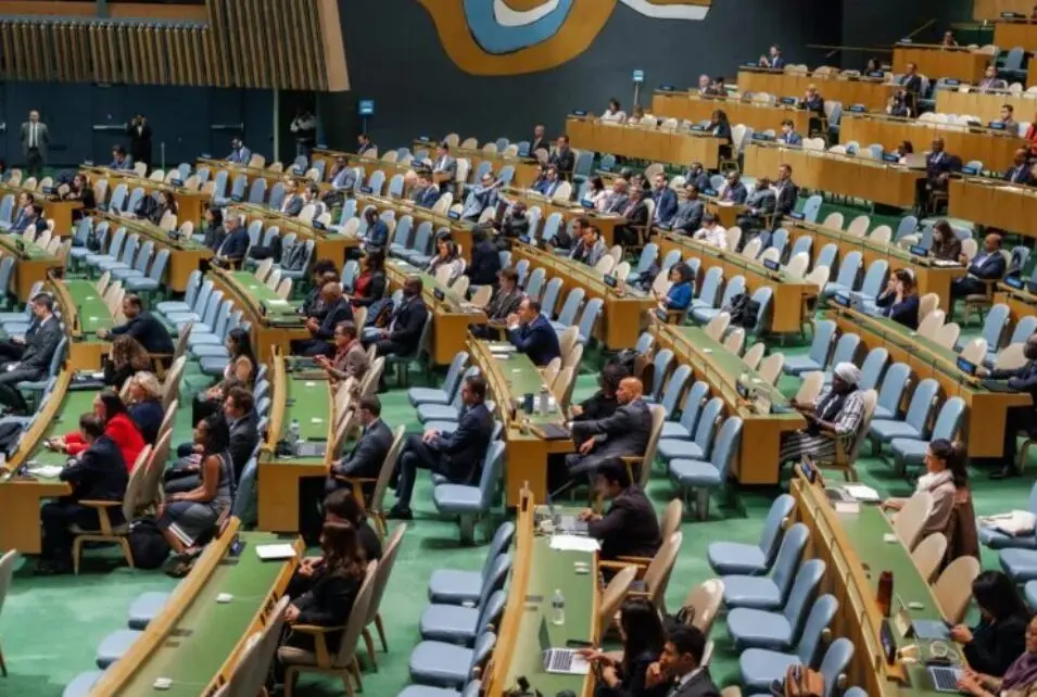 onu 1.jpg