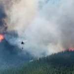 patagonia incendio efe enero26