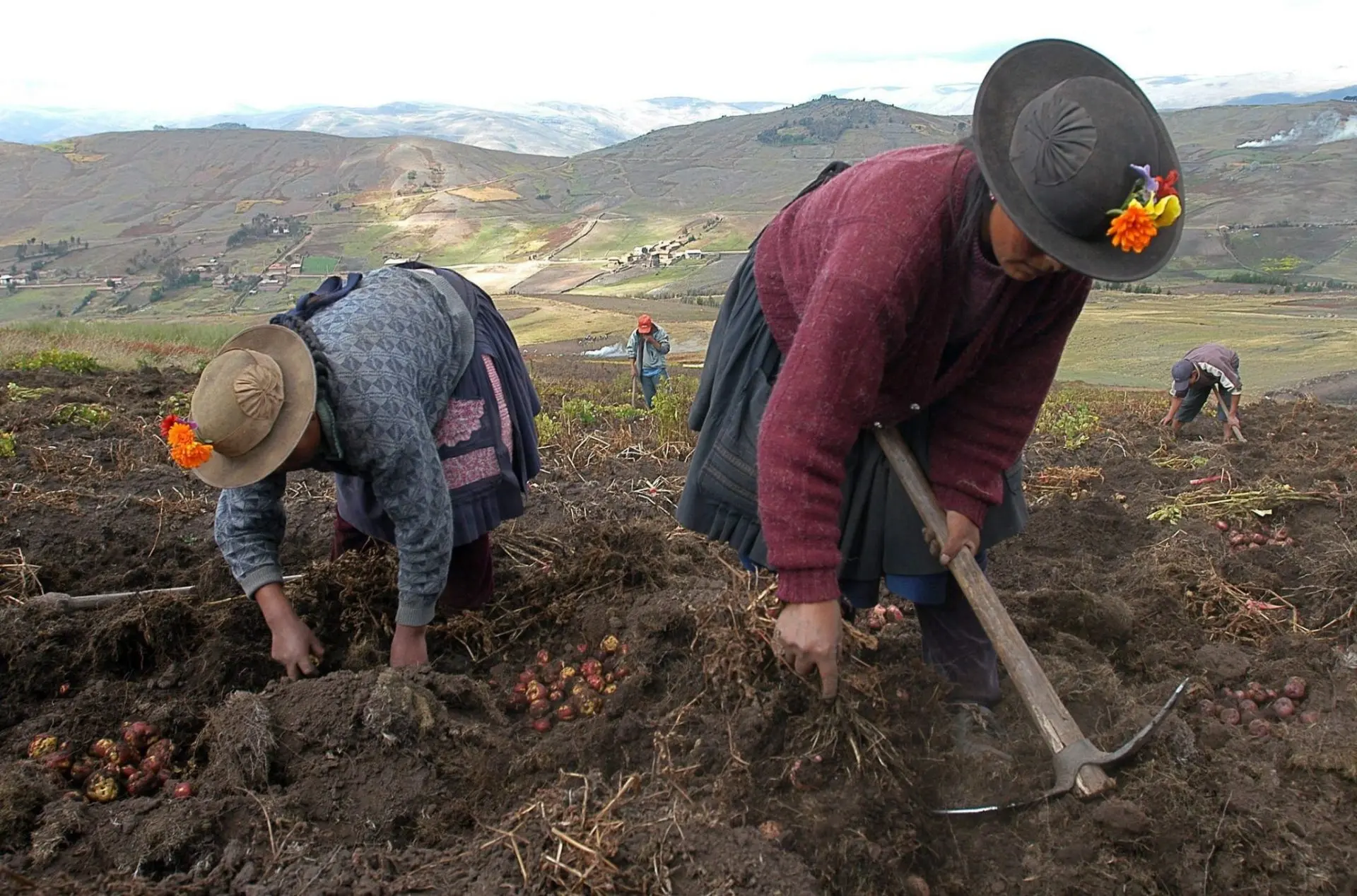 peru campesinas.jpg