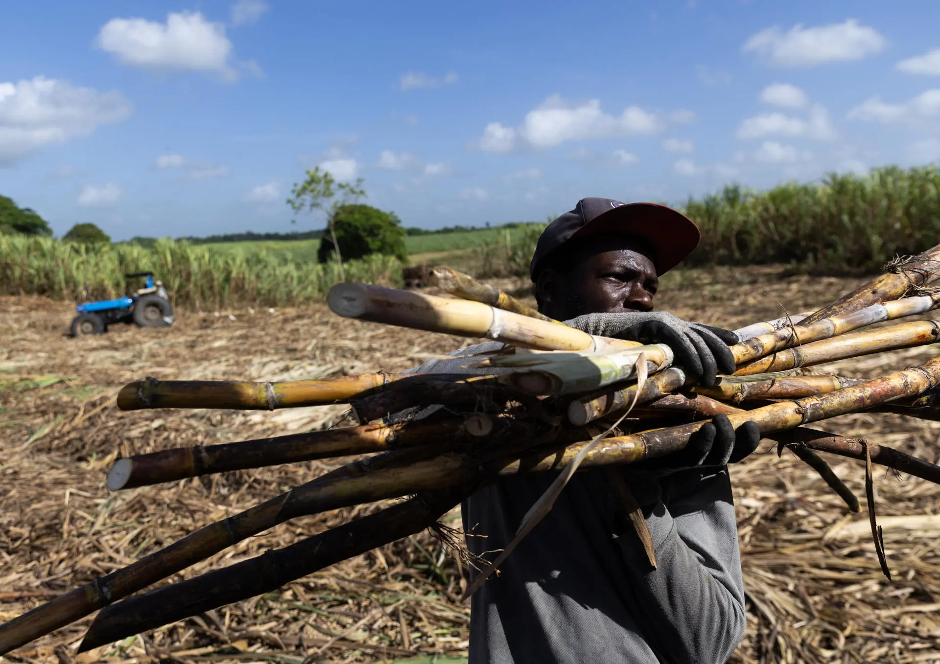 Protesta en Nagua contra el decreto que eliminó aranceles al arroz importado
