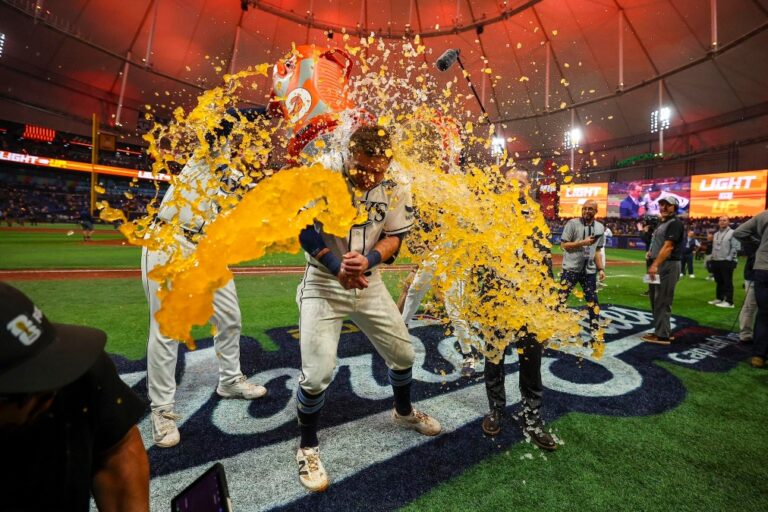 tampa ray bays 1
